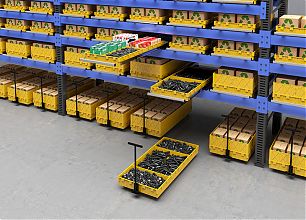 Выкатной модуль, низкий борт (ВМ-НБ)